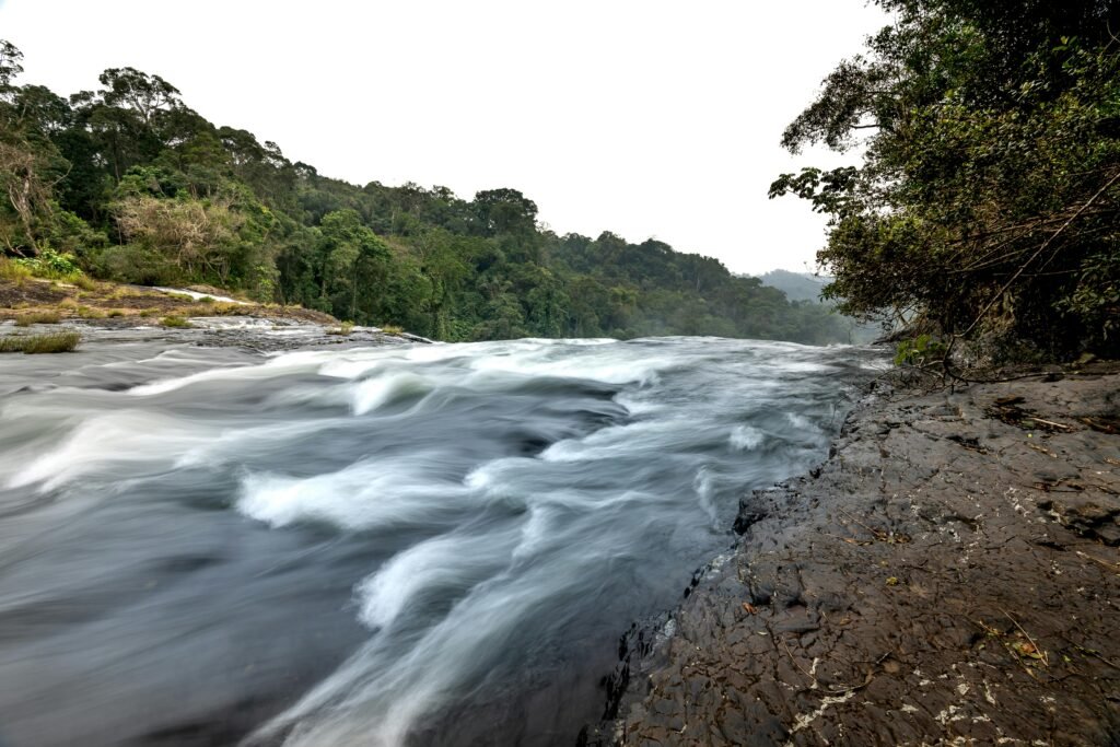 A breathtaking view of a flowing river through lush greenery, captured with long exposure.